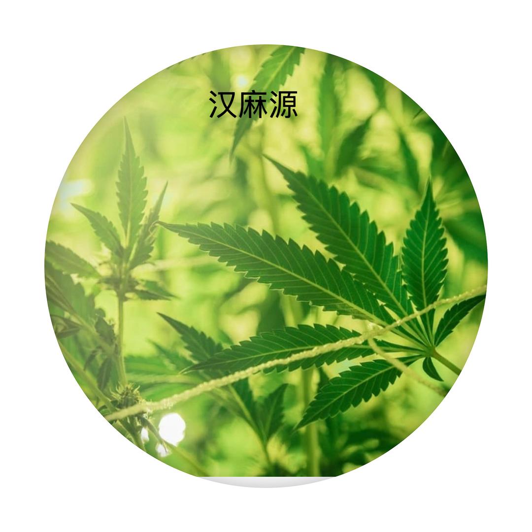 汉麻原