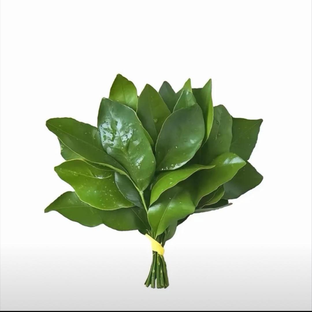 荞铱