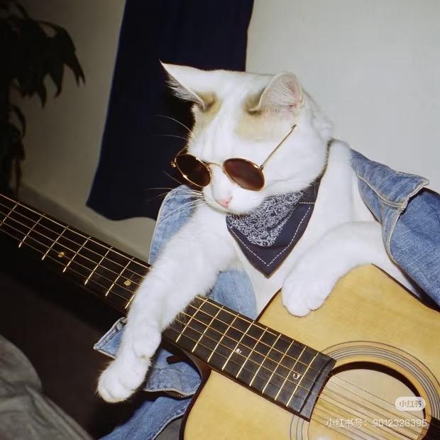 教🎸的沈老师