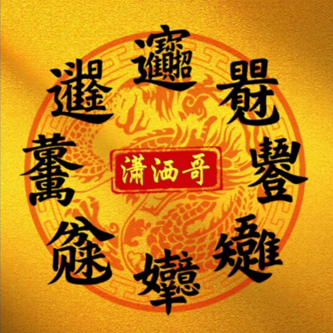 速秒赛鸽—潇洒哥