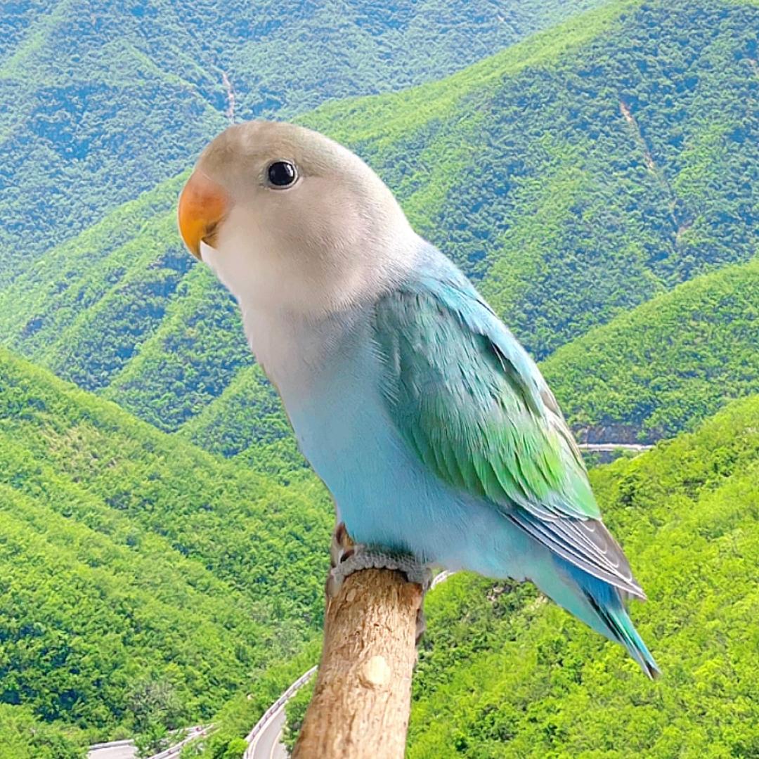 发财的日记