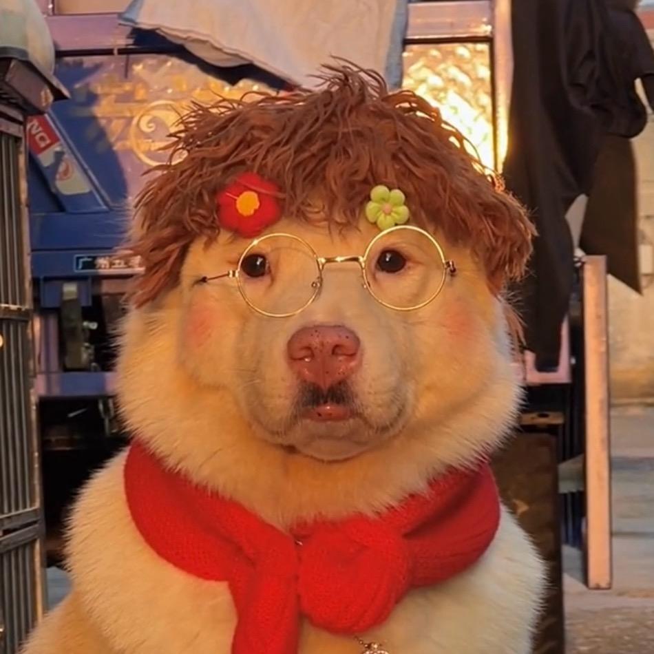 十年