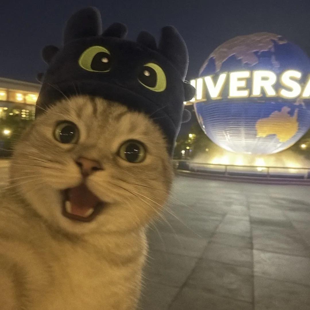 ③ ③