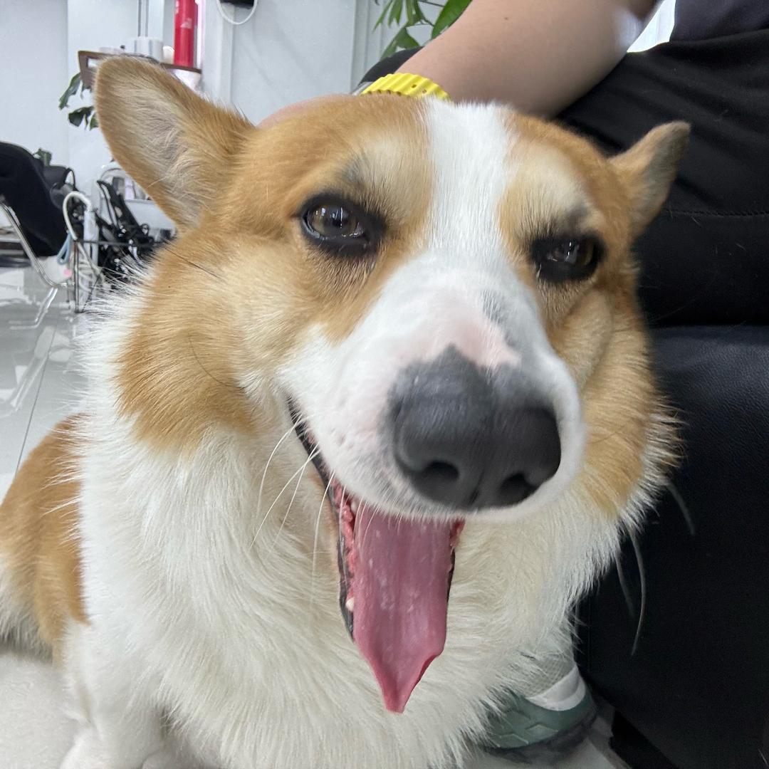 老蔫儿
