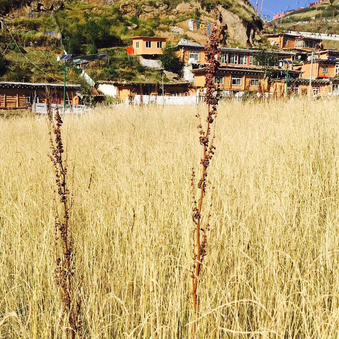 ° W          ．゛