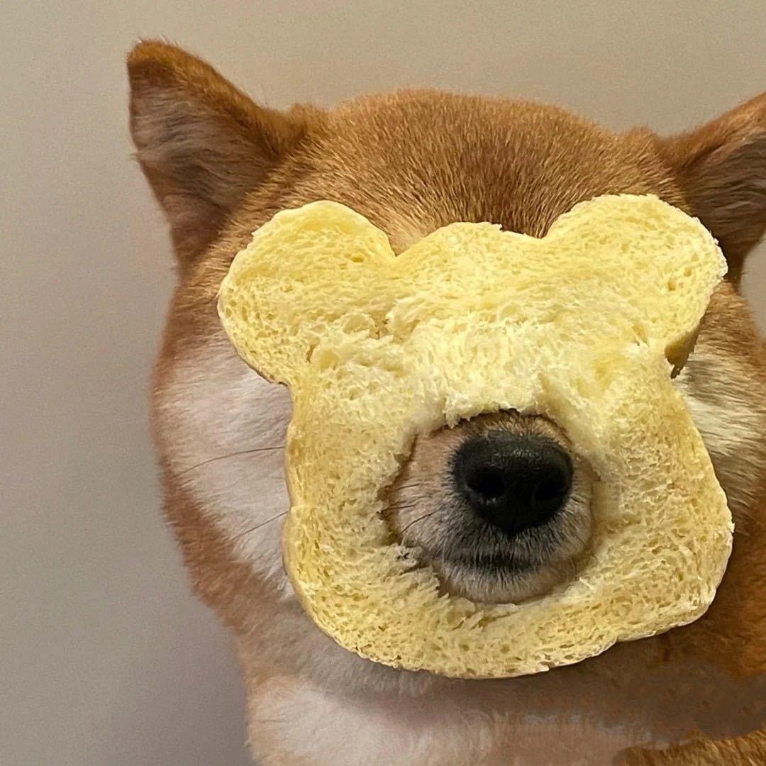 曲冰贵