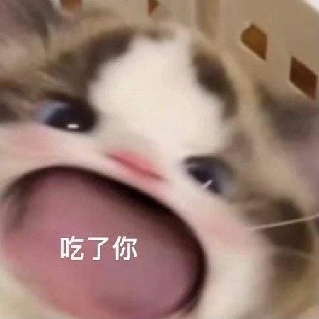 小熊猫头像