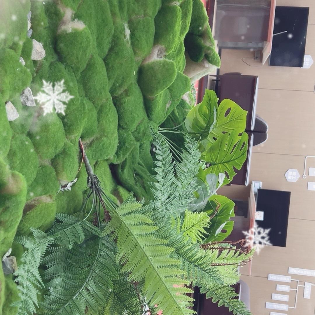 友家家具宣威品牌馆