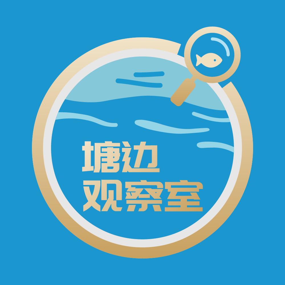 塘边观察室@抖音