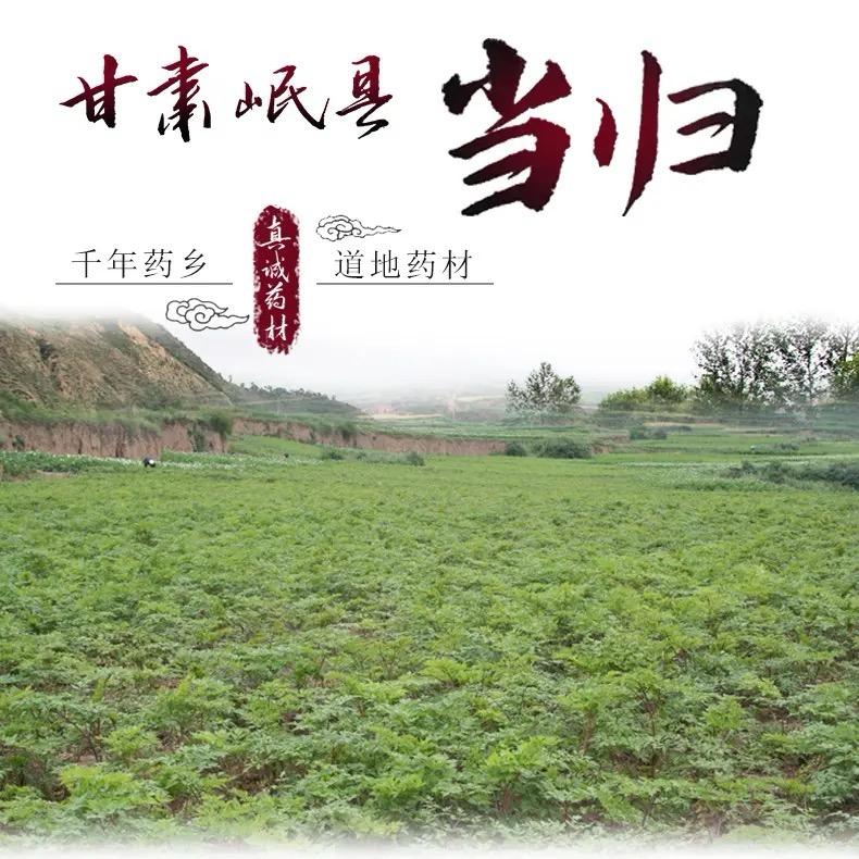 农产品加工零售
