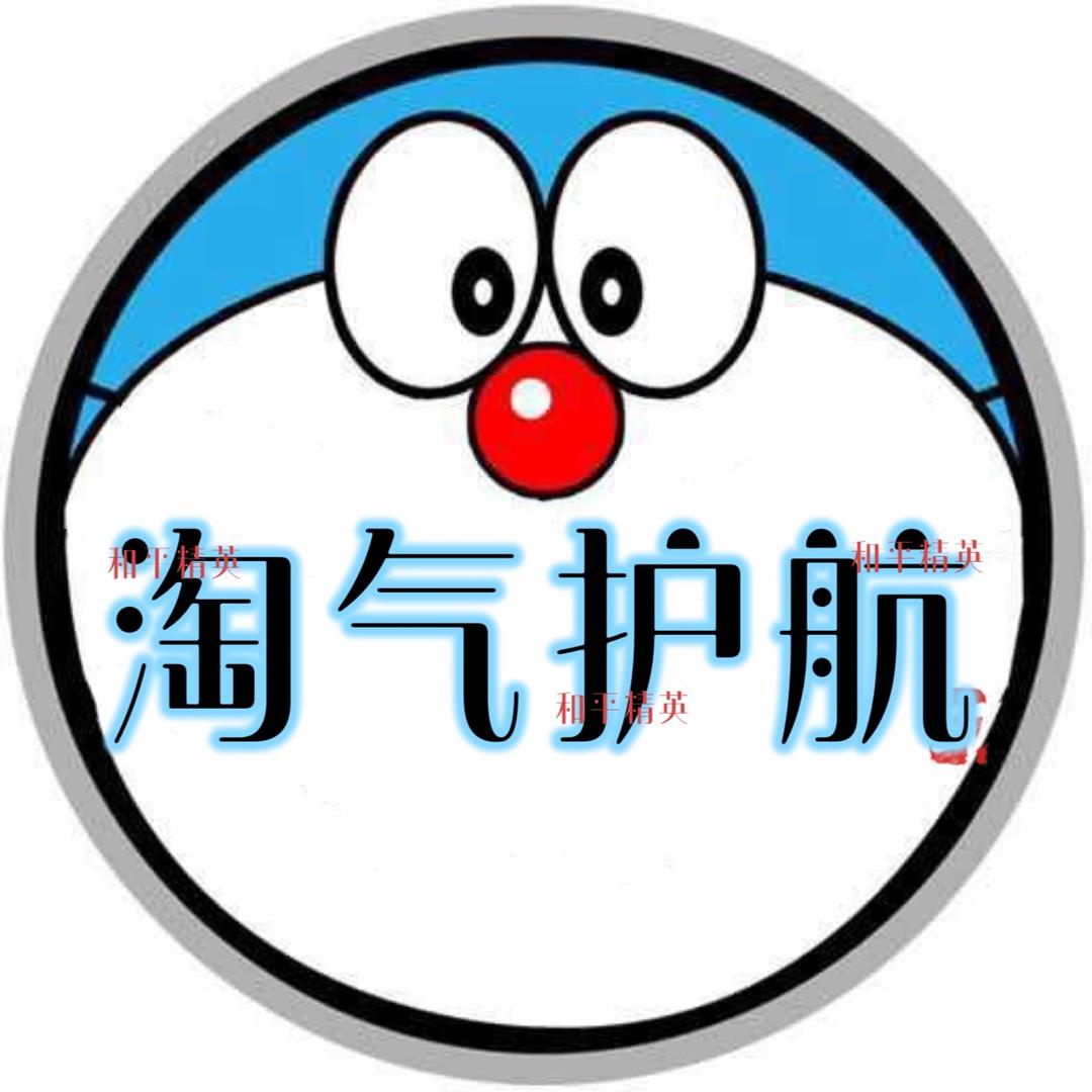 淘气护航董事长