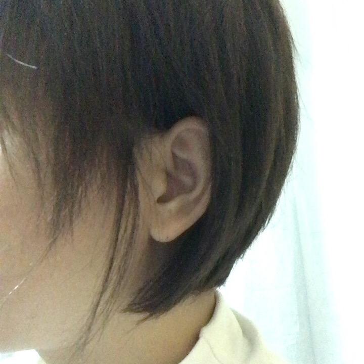 子非鱼