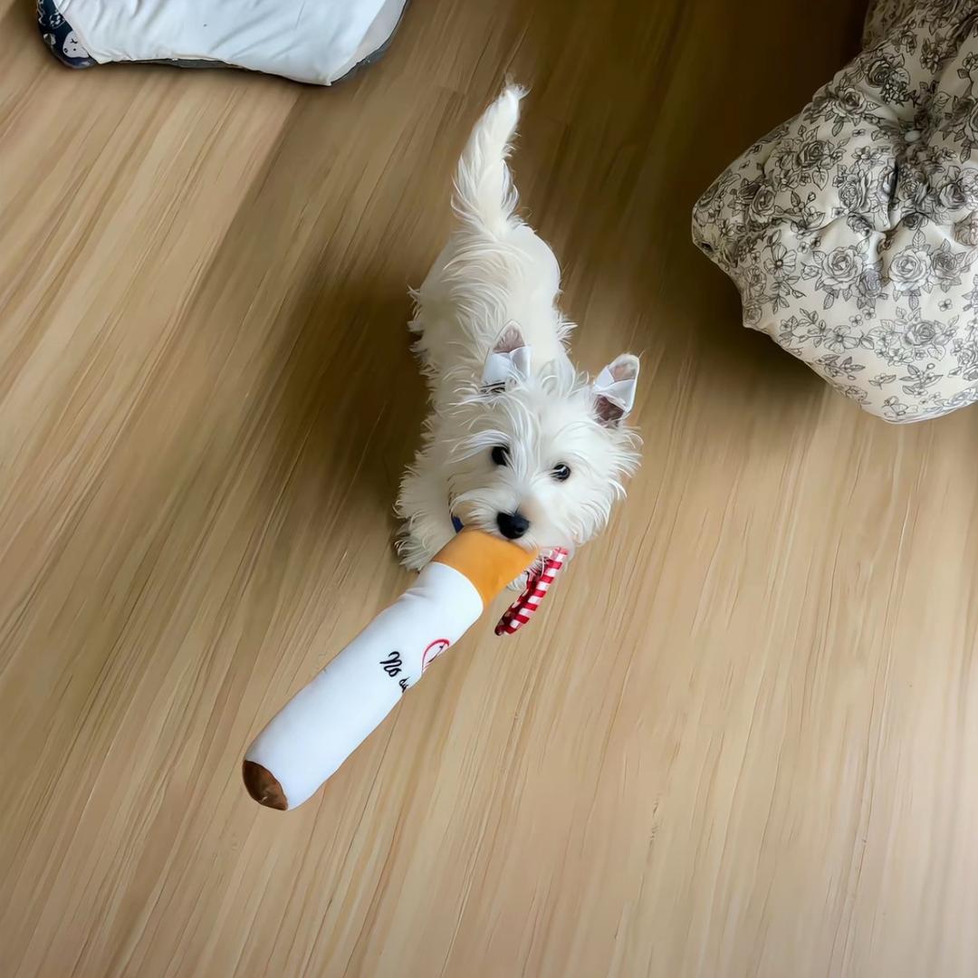 祈亿