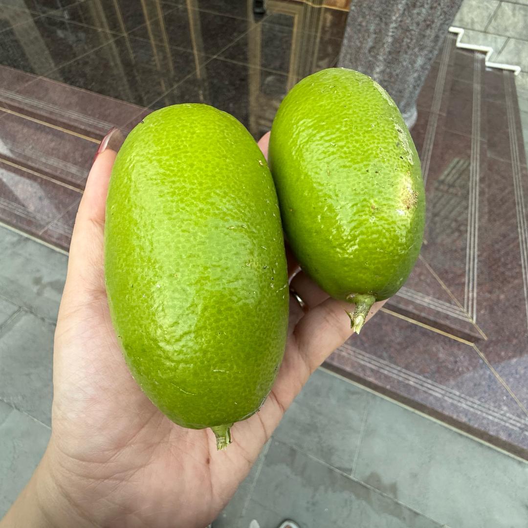 恭喜发财