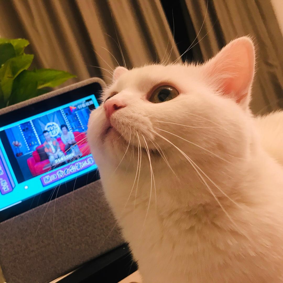 ″小咪 ั：ʚ🧸ྀིɞ