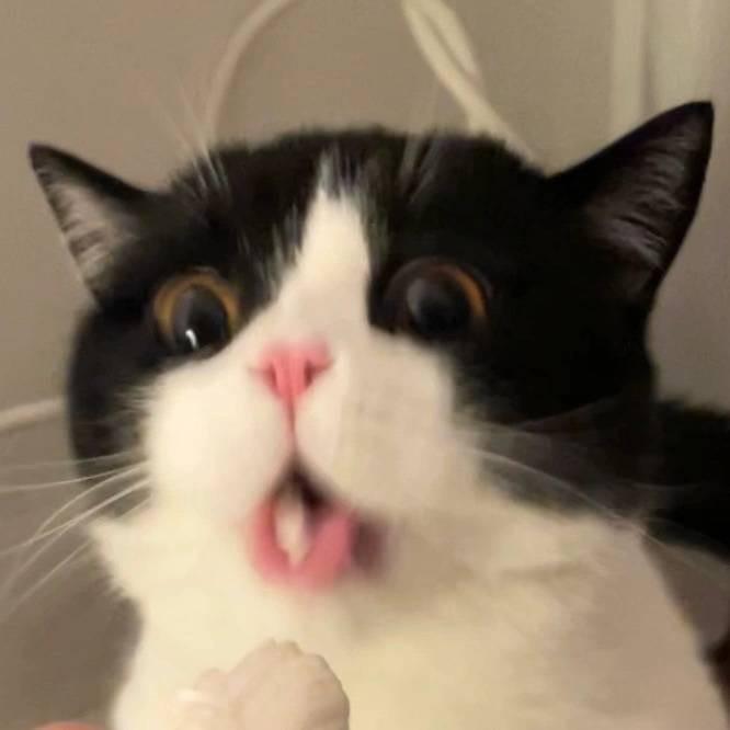 配角