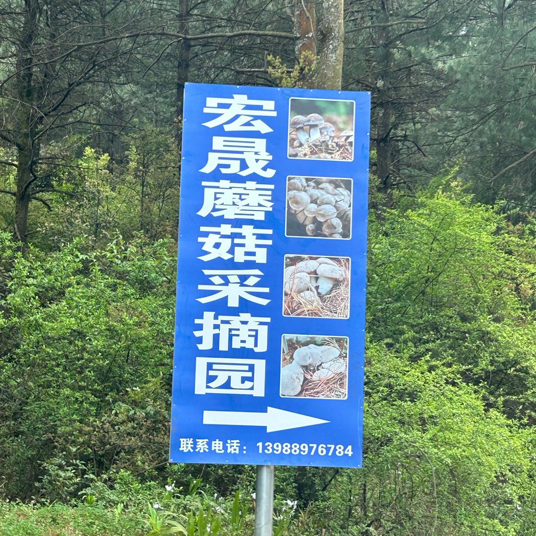玩泥巴的小姐姐