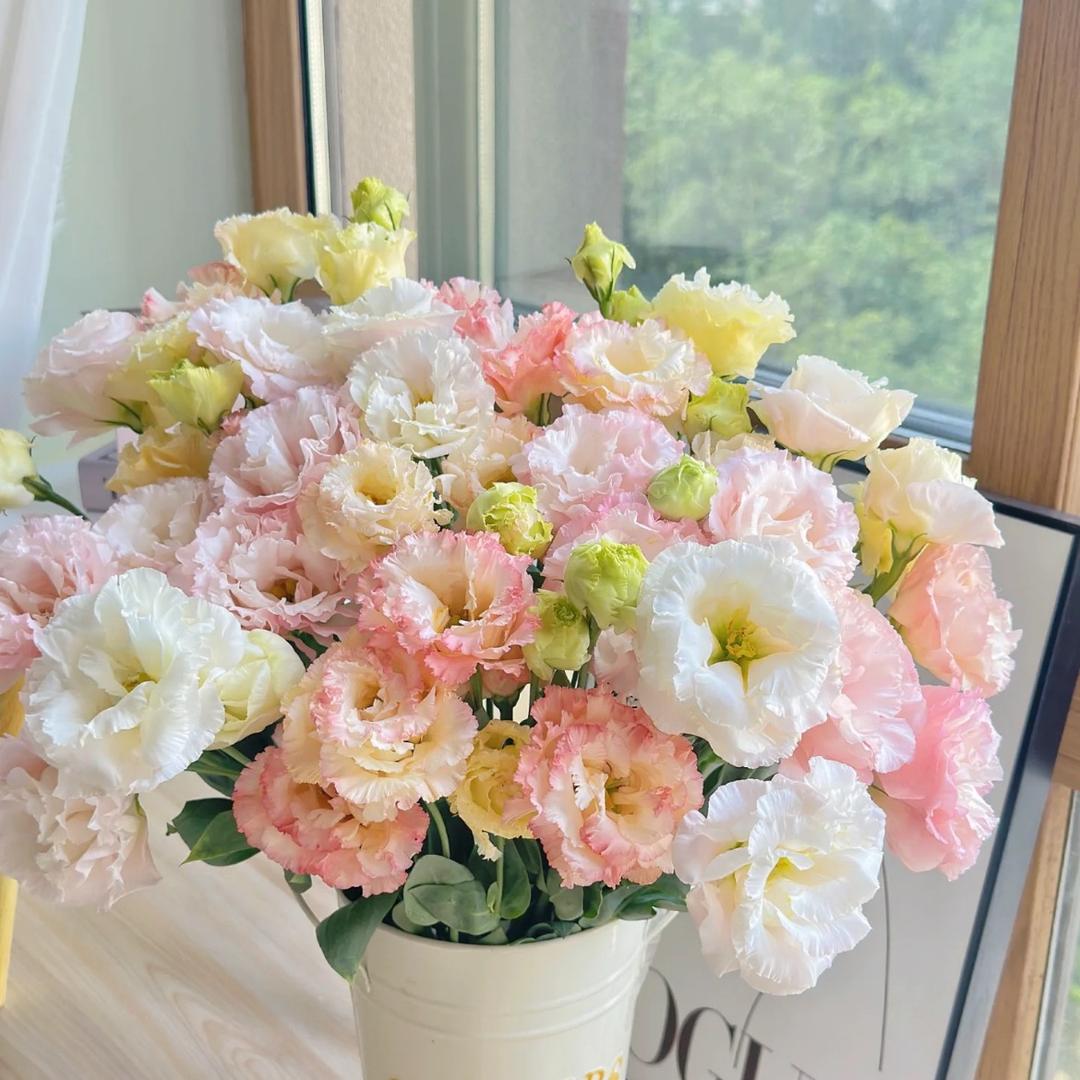 胡先生与胡小姐的花样生活