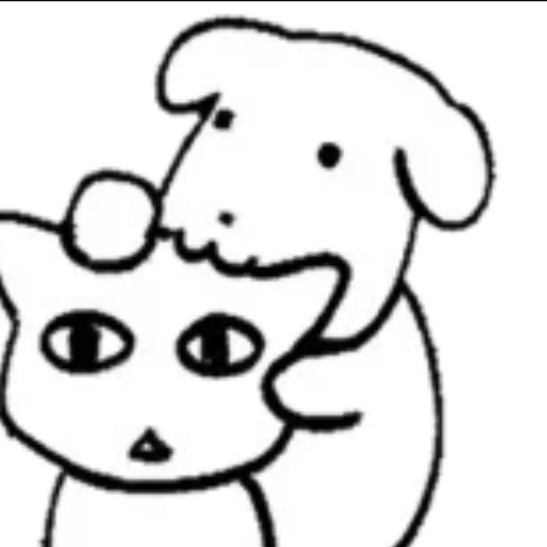 猫祈🐾