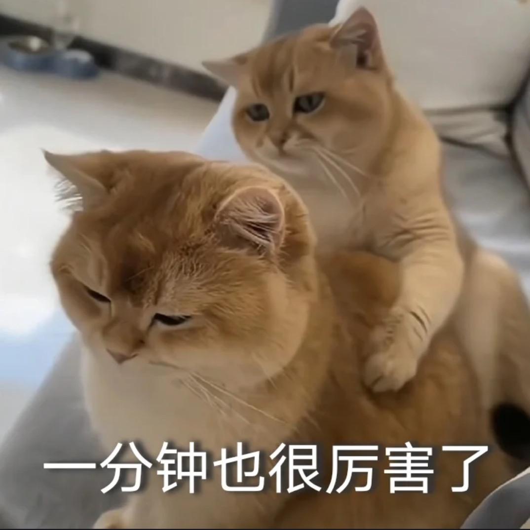 鸭鸭可达鸭爱吃牛油果拿铁