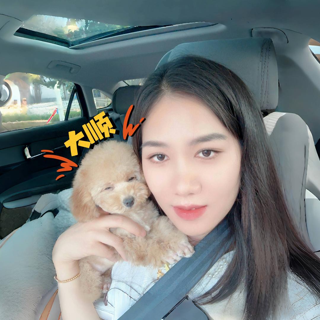 张大顺是只小泰迪