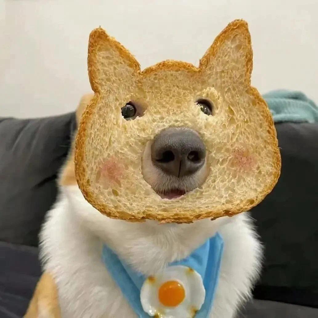 不吃  减肥  谢谢