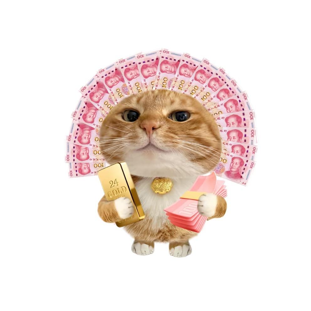 钱从四面八方走进我的口袋