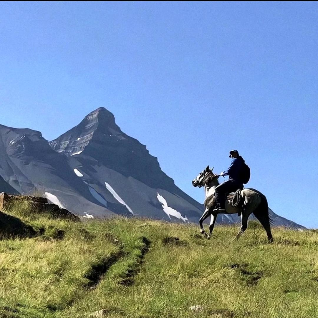 小孙今天吃点啥