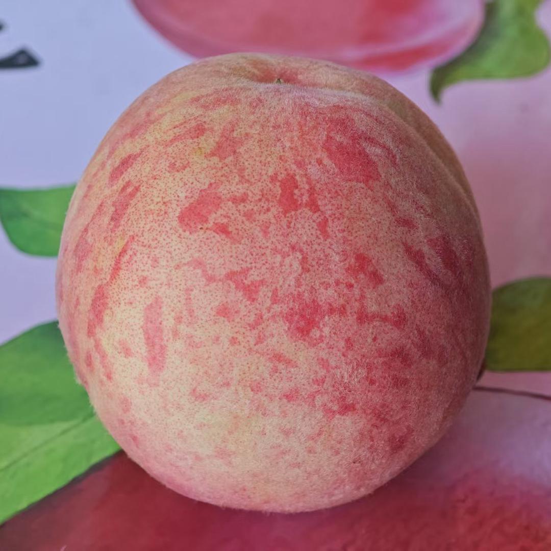橙心橙义生活坊