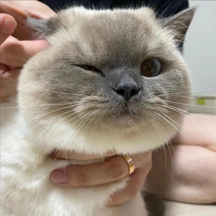 小梁