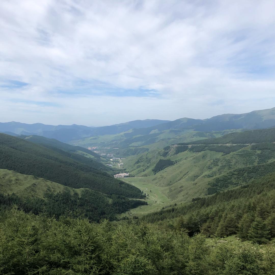 叮当果果