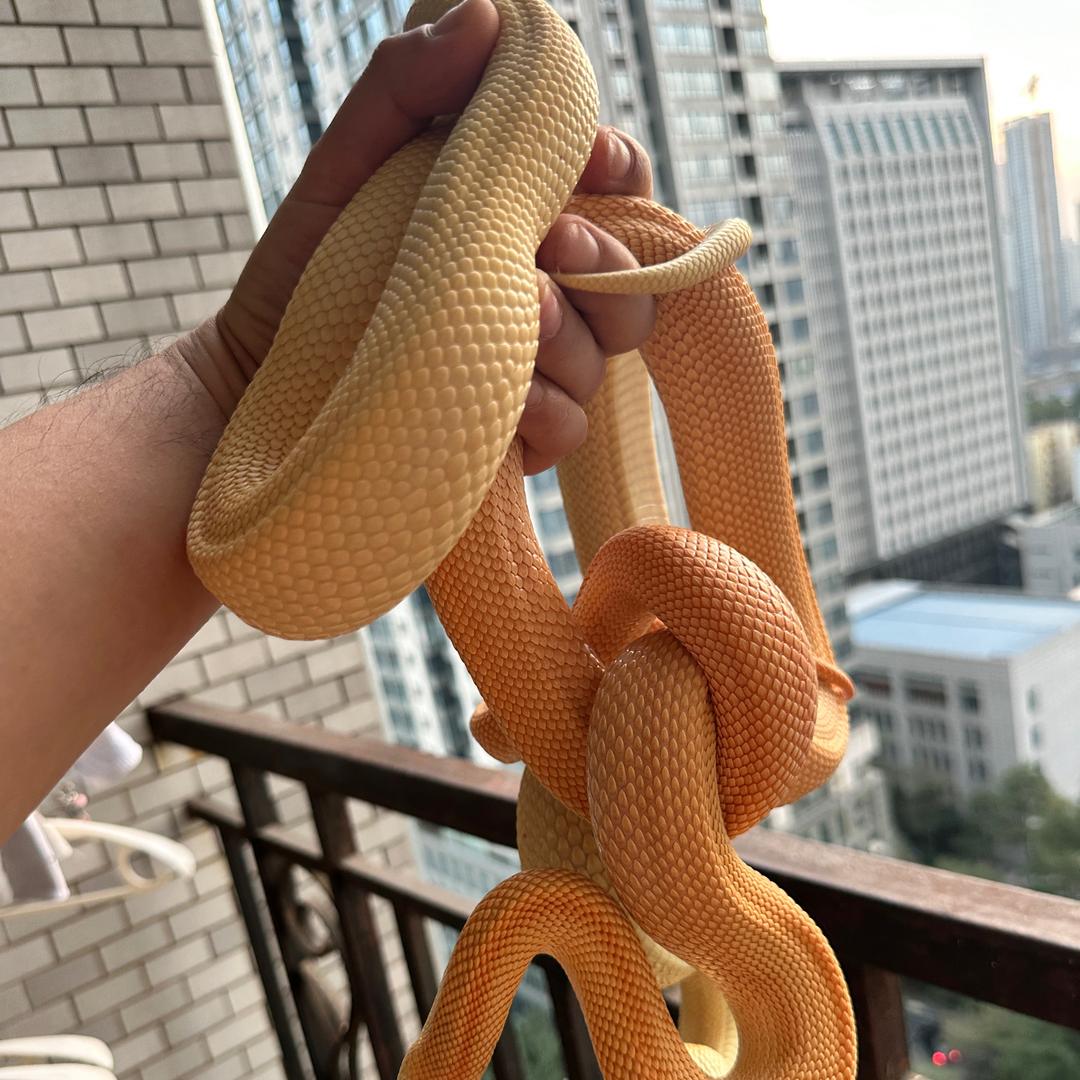 爬爬不吃鸡胸肉