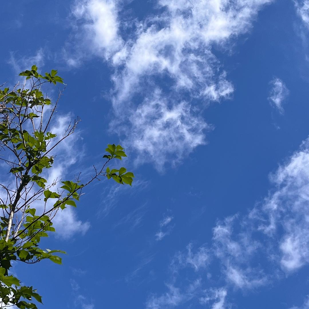 蹦的高高的