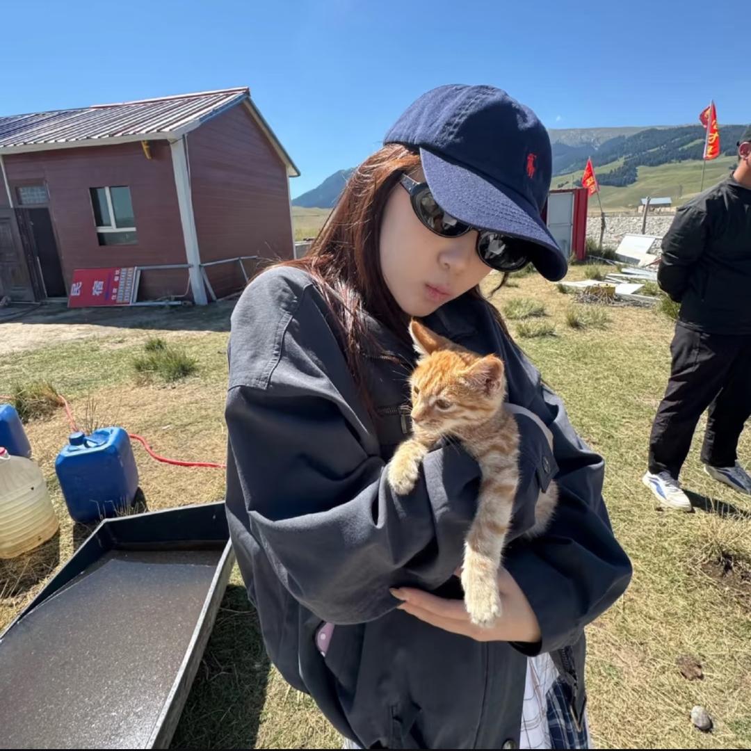 🐱Cat大王