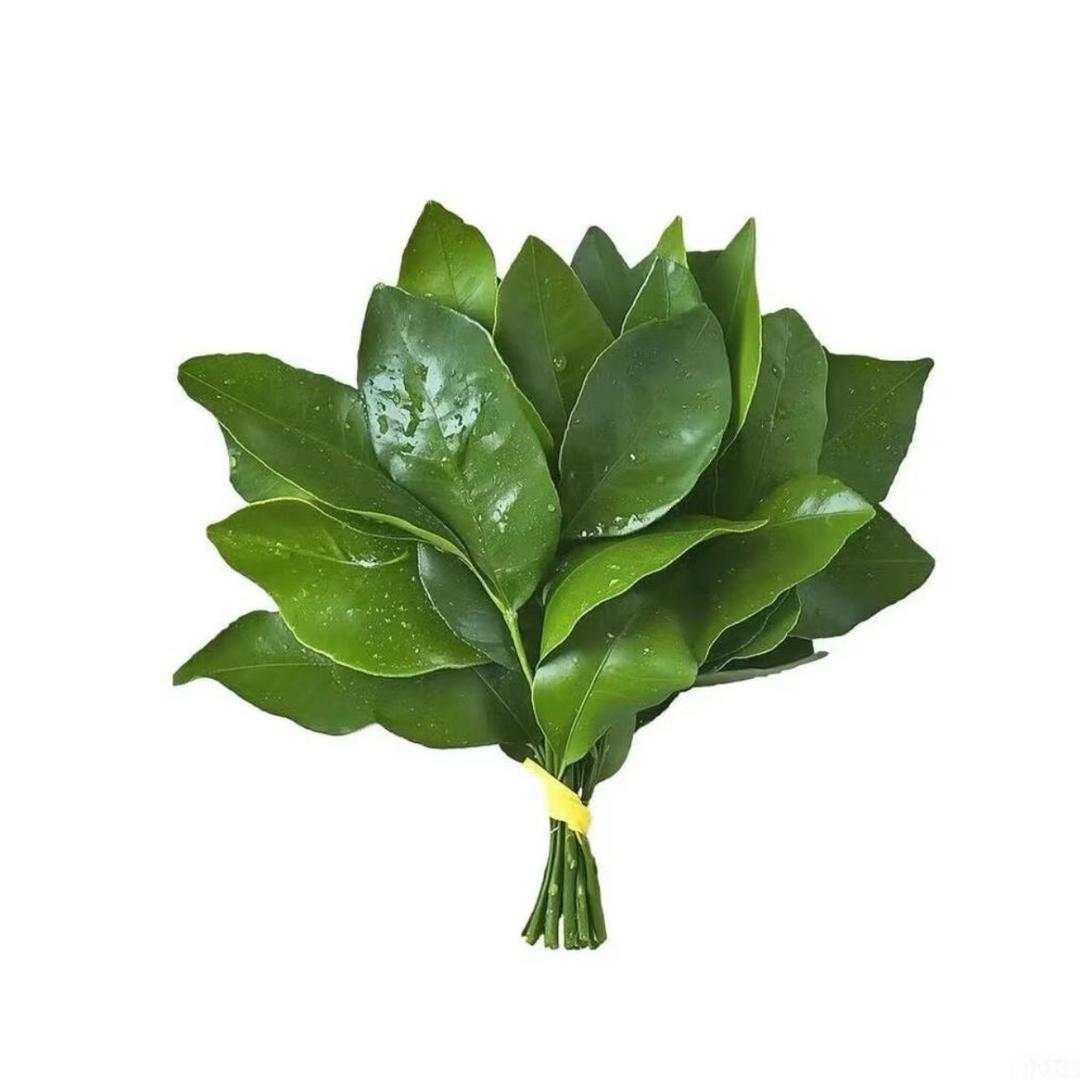 oo