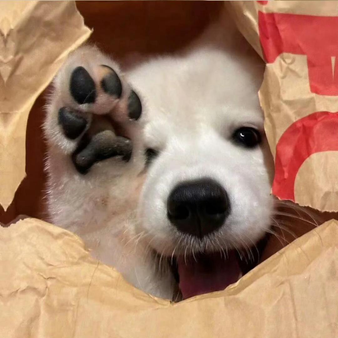 🧊