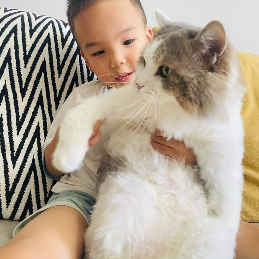 爱吃草的猫