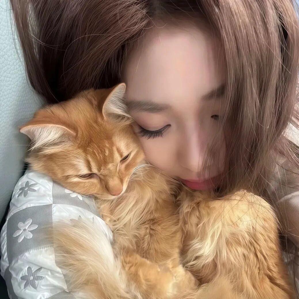 熊猫叮咚小鱼