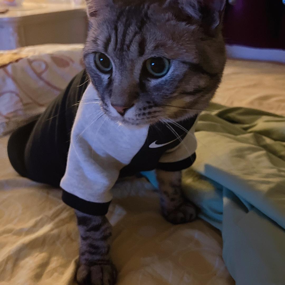 A. 💋  Encore Une Fois