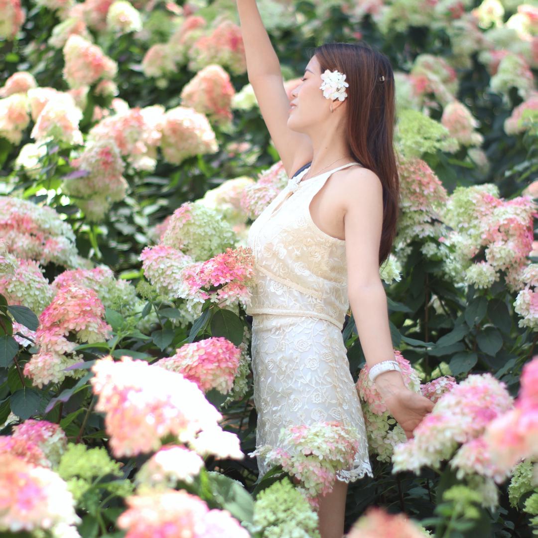 🌼小盛盛