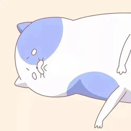 🧻不发脾气只发财