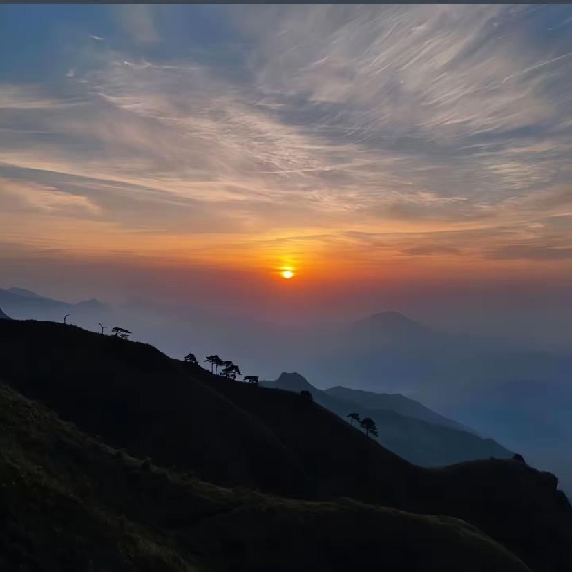 云自无心水自闲