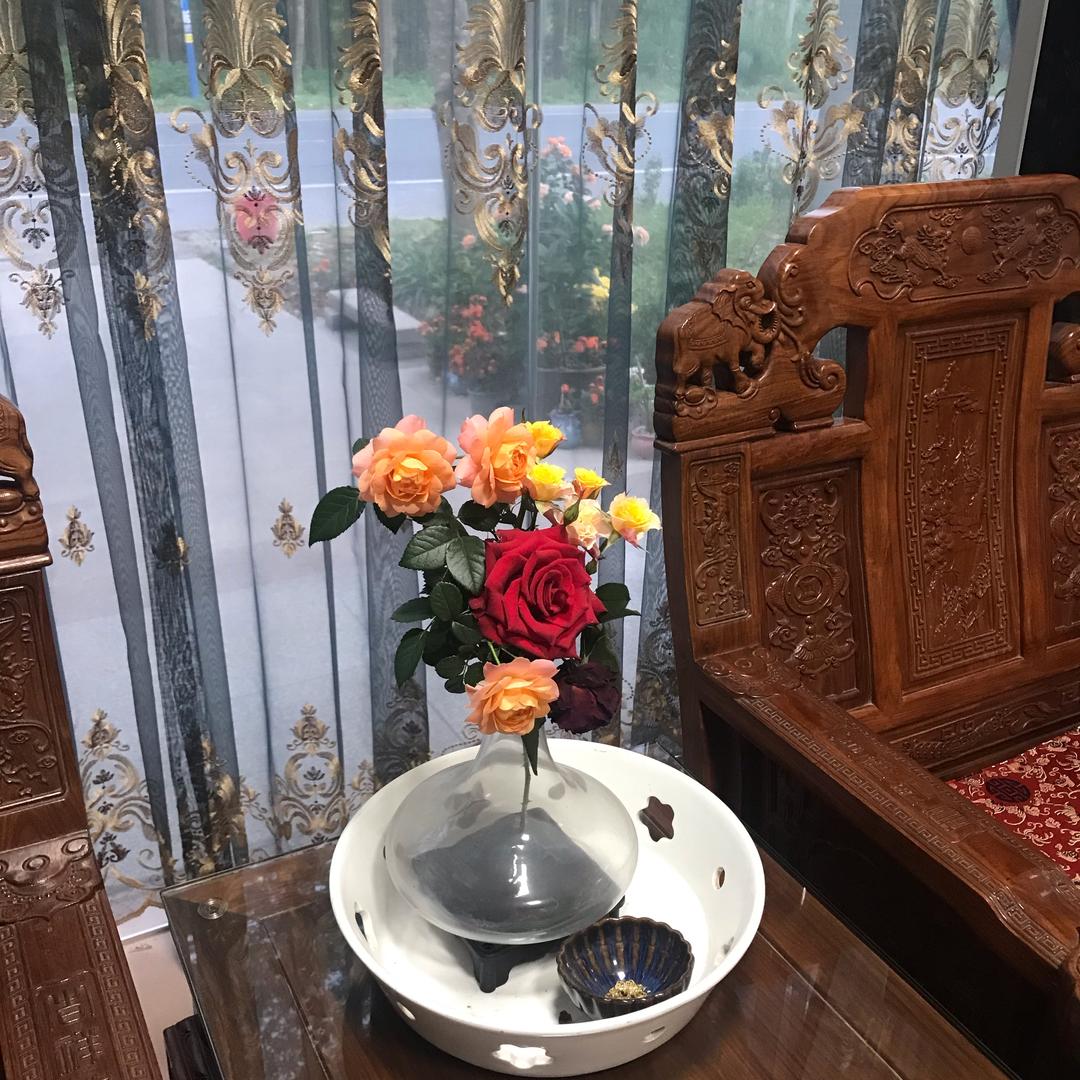 （随缘）