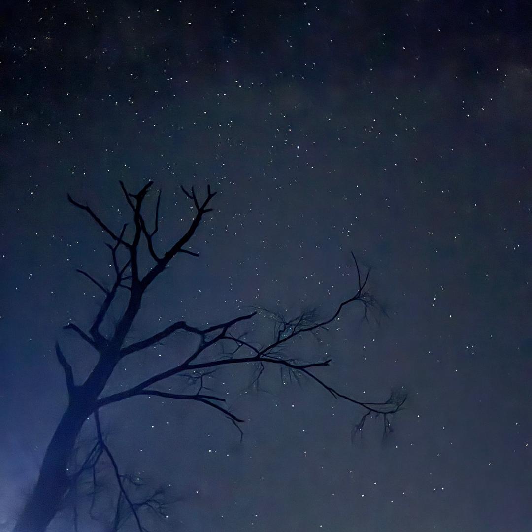 可芯小铃