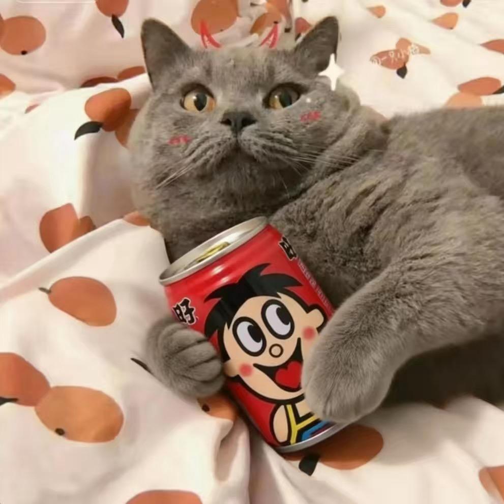 ꪋꪆཱིི꪿凌枫ཷྀ