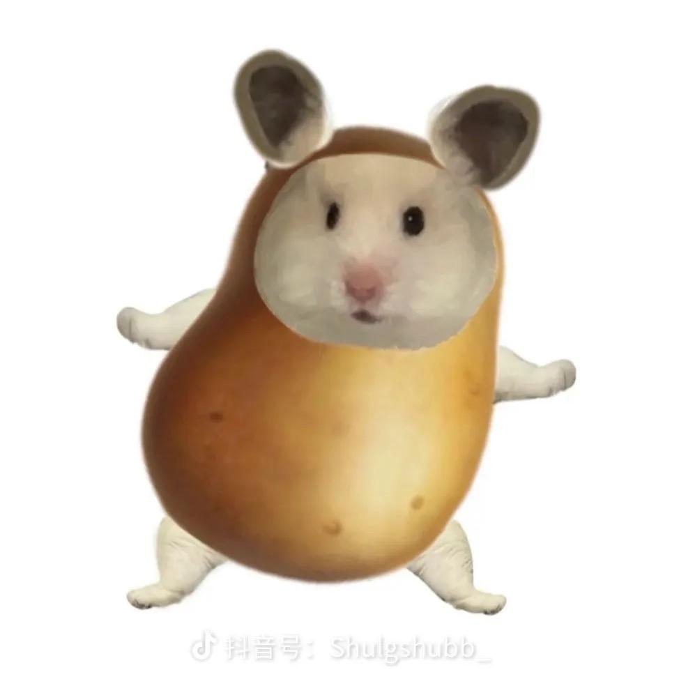 无敌霹雳大财神