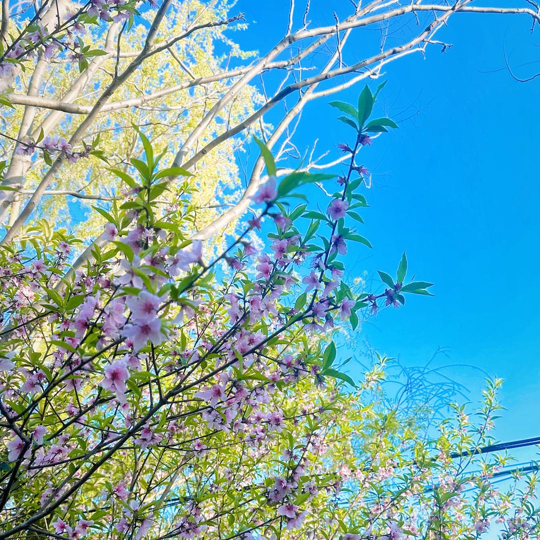 Liki就是女王陛下💄🌟