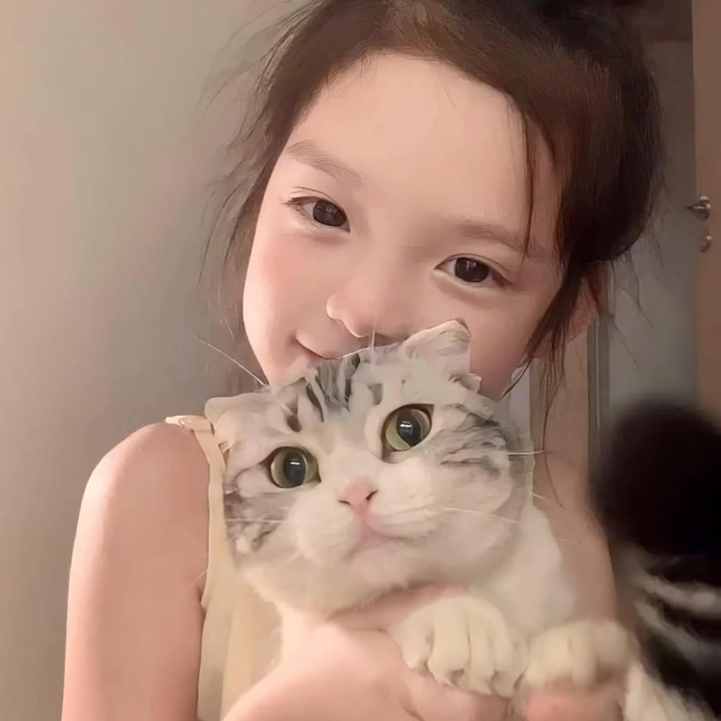 ㅤ ︅︇︊︈︎