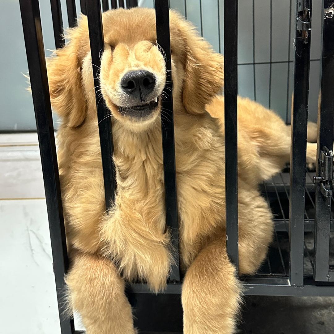 一个很无聊的人