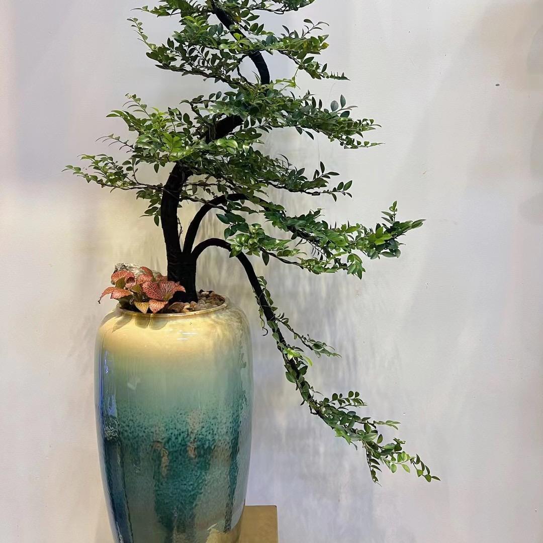 小吕🌼